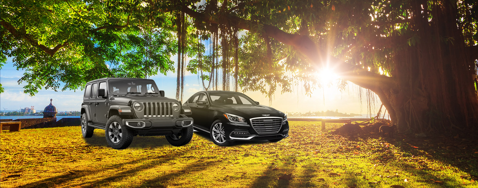 Allied Car Rental Allied Car Rentals